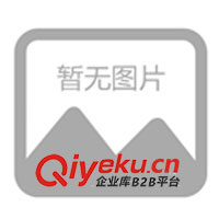 威比倫休閑男裝T恤原廠正貨廠價(jià)直銷(xiāo)-828802